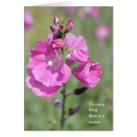 Une saison et le temps Hollyhock Toutes les occasi