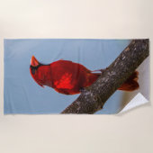Une serviette de plage Cardinal (Devant)