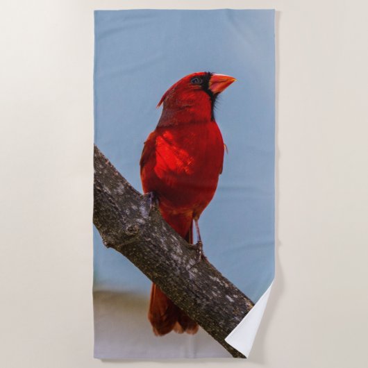 Une serviette de plage Cardinal (Devant)