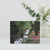 Une seule carte postale manquante (Debout devant)