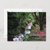 Une seule carte postale manquante (Devant / Derrière)