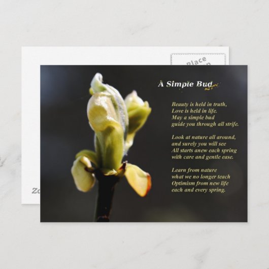 Une simple carte postale Bud (Devant / Derrière)