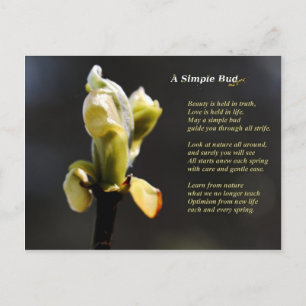 Une simple carte postale Bud