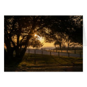 Une Soirée À Whalehead (Devant horizontal)