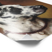 Une superbe photo de Danse (Coin)