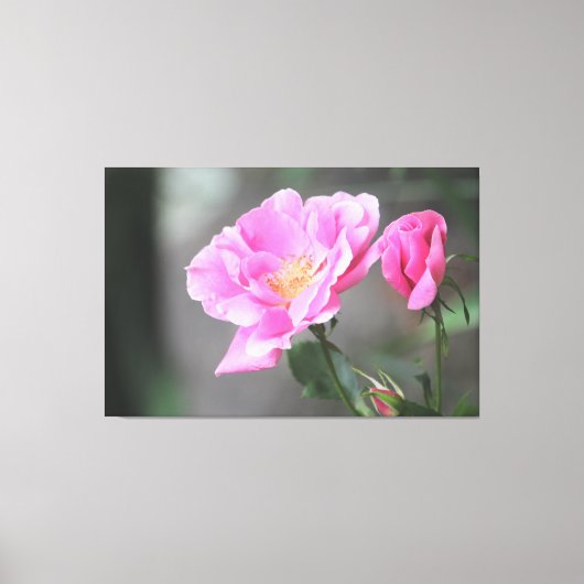 Une Superbe Toile Rose Rose (Recto)