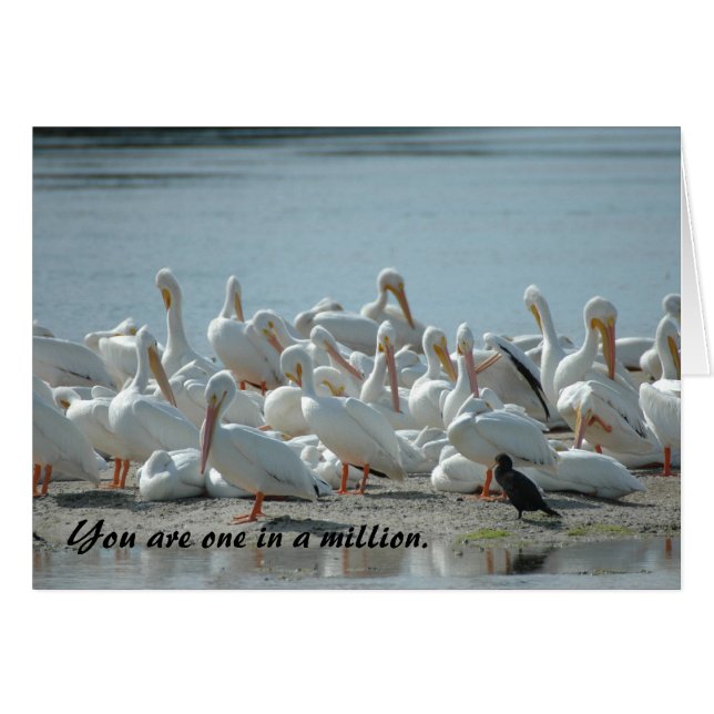 UNE SUR MILLION : CARTE (Devant horizontal)