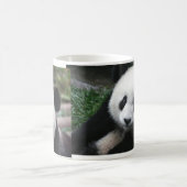 Une tasse mignonne de panda ! (Centre)