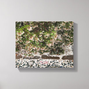 Une toile en fleurs : Manzanita