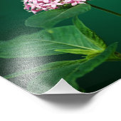 Une touche de rose dans la photo verte (Coin)