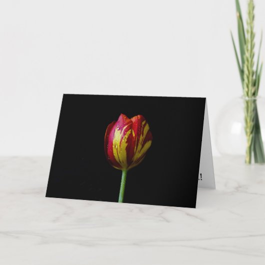 Une tulipe - Carte (Devant)