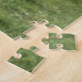 Une vache Brown du Jersey dans le puzzle denteux (Côté)