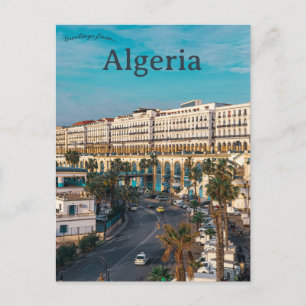 Une vue d'Alger Carte postale d'Algérie