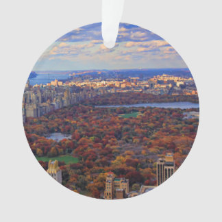 Une vue d'en haut : Automne dans Central Park 01