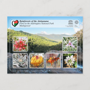 UNESCO - Atsinanana - Nationaal Park Andringitra Briefkaart