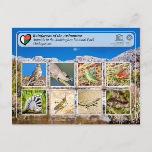 UNESCO - Atsinanana - Nationaal park Andringitra P Briefkaart