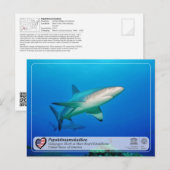 UNESCO - Papahānaumokuākea - Carte postale du réci (Devant / Derrière)