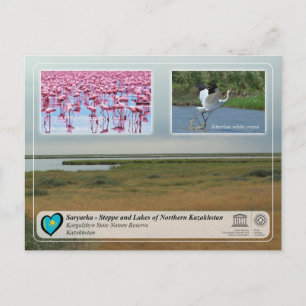 Unesco - Saryarka Korgalzhyn staatsreserve Natuur Briefkaart