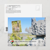 UNESCO - Tsingy de Bemaraha Strict Nature Reserve Briefkaart (Voorkant / Achterkant)