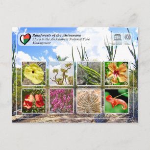 UNESCO WHS - Atsinanana - Nationaal Park Andohahel Briefkaart