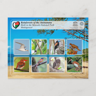 UNESCO WHS - Atsinanana - Nationaal Park Masoala Briefkaart