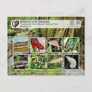 UNESCO WHS - Atsinanana - Nationaal Park Masoala Briefkaart