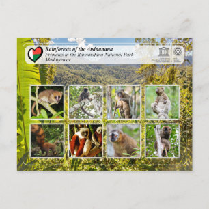 UNESCO WHS - Atsinanana - Nationaal Park Ranomafan Briefkaart
