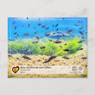 UNESCO WHS - Biodiversiteit van Ibiza/Eivissa Briefkaart