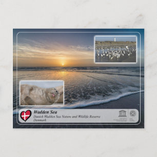 UNESCO WHS - Danish Wadden Zee Briefkaart