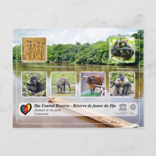 UNESCO WHS - Dja Faunal Reserve Briefkaart (Voorkant)
