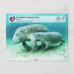UNESCO WHS - Everglades National Park - Manatee Briefkaart