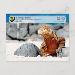 UNESCO WHS - Galápagos Islands - Land Iguana Briefkaart