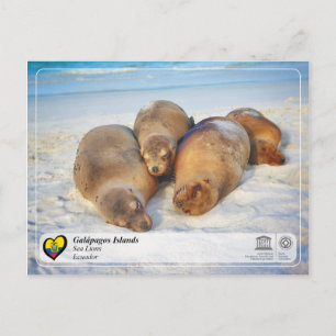 UNESCO WHS - Galápagos Islands - Zee Lions Briefkaart