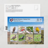 UNESCO WHS - Hawaii Volcanoes NP - vogels Briefkaart (Voorkant / Achterkant)