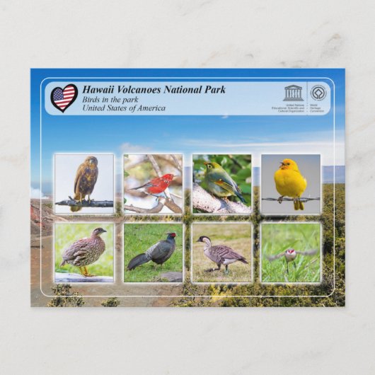 UNESCO WHS - Hawaii Volcanoes NP - vogels Briefkaart (Voorkant)