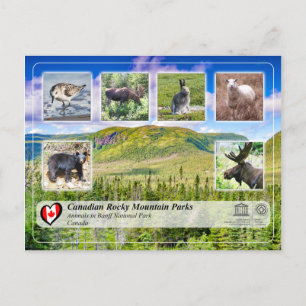 UNESCO WHS - Nationaal park Gros Morne Briefkaart