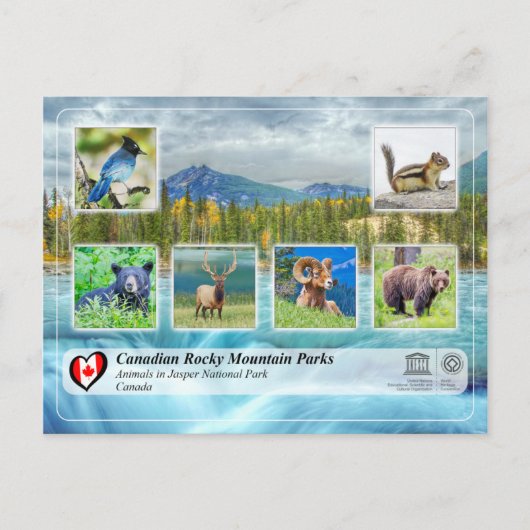 UNESCO WHS - Nationaal Park Jasper Briefkaart (Voorkant)