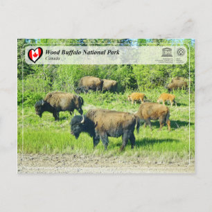 UNESCO WHS - Nationaal park van de houtsbuffalo Briefkaart