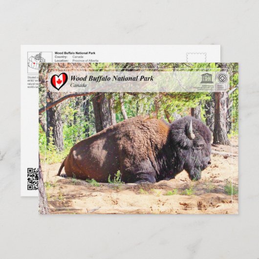 UNESCO WHS - Nationaal park van de houtsbuffalo Briefkaart (Voorkant / Achterkant)