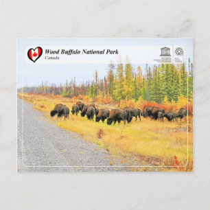 UNESCO WHS - Nationaal park van de houtsbuffalo Briefkaart