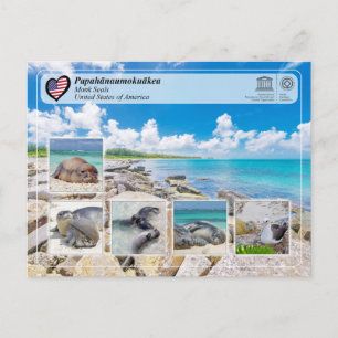UNESCO WHS - Papahānaumokuākea - Monk Seals Briefkaart