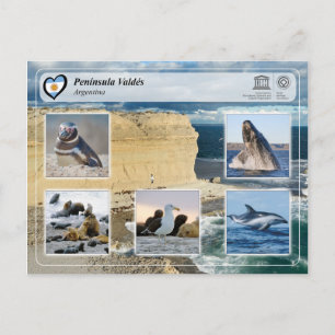 UNESCO WHS - Península Valdés Briefkaart