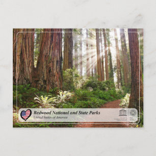 UNESCO WHS - Redwood National and State Parks Briefkaart