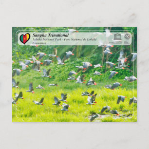UNESCO WHS - Sangha Trinational - Lobéké Briefkaart