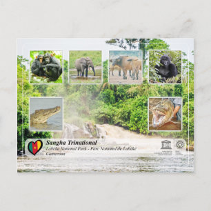 UNESCO WHS - Sangha Trinational - Lobéké Briefkaart