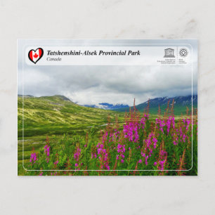 UNESCO WHS - Tatshenshini-Alsek Provincial Park Briefkaart