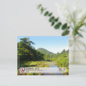 UNESCO WHS - Yakushima - 屋久島 Carte postale (Debout devant)