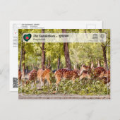 UNESCO WHV - De Sundarbans Briefkaart (Voorkant / Achterkant)