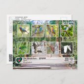 UNESCO WHV - De Sundarbans Briefkaart (Voorkant / Achterkant)