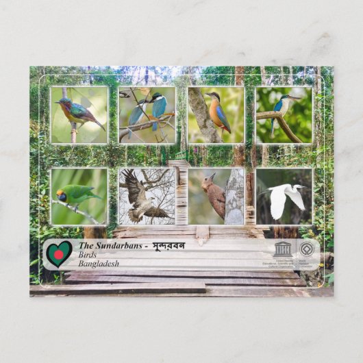 UNESCO WHV - De Sundarbans Briefkaart (Voorkant)